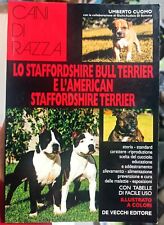 staffordshire bull terrier usato  Gragnano