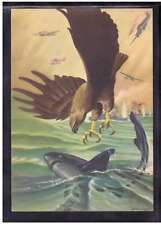 Cartolina militare aviazione usato  Italia