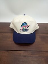 Vintage columbus clippers for sale  Caledonia