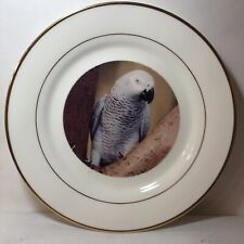African grey parrot for sale  Pensacola