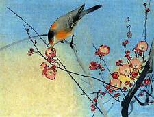 Songbird plum branch for sale  Cambria