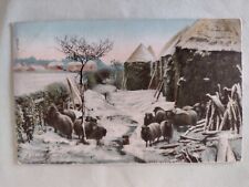 Vintage postcard sheep for sale  POTTERS BAR
