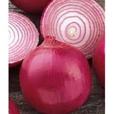 Onion red grano for sale  Phoenix