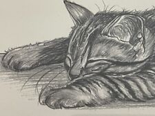 Signed Mounted Gilt Framed Pencil Sketch Kitten 50cm x 33cm, used for sale  Shipping to South Africa
