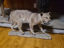 Bobcat taxidermy mount for sale  Smyrna