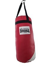 Everlast mini punch for sale  CHELMSFORD