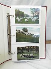 Collection vintage sheep for sale  Enola