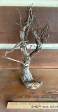 Real driftwood aquarium for sale  Gainesboro