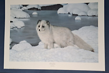Frace arctic fox for sale  Carrollton