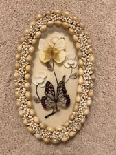 Vintage seashells framed for sale  Holland