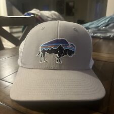 Patagonia hat cap for sale  Girard