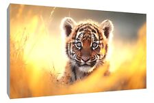Cute tiger cub for sale  MANSFIELD