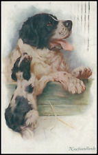 Newfoundland dog puppy. for sale  UK