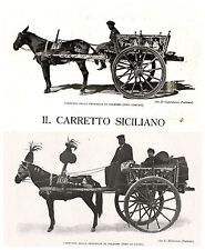 Articolo 1926 carro usato  Biella