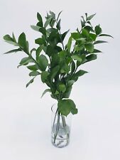 green flower delivery for sale  Fort Lauderdale