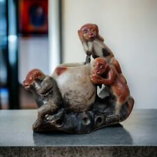scimmiette usato  Montebello Della Battaglia