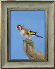 European goldfinch for sale  Chevy Chase