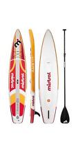 Mistral stand paddle gebraucht kaufen  Neuenstadt