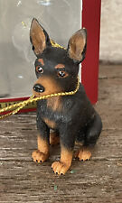 Doberman pinscher miniature for sale  Waunakee