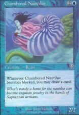 chambered nautilus for sale  PONTEFRACT