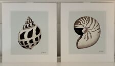 sea shell print for sale  Nashville