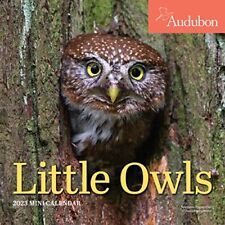 Audubon little owls for sale  UK