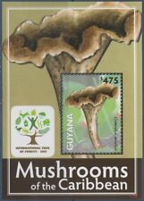 Guyana 2011 funghi usato  Italia