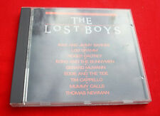 Lost boys inxs for sale  INVERNESS