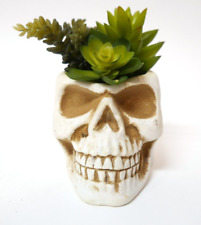 Ashland halloween skull for sale  Ridgeland