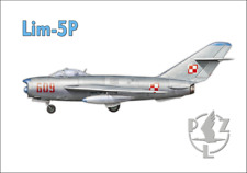 Używany, Magnes - Samolot Lim-5P na sprzedaż  PL