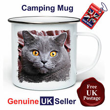 British shorthair cat for sale  WISBECH