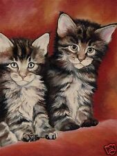 12x16 maine coon for sale  Broomfield