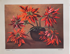 Vladimir Tretchikoff RARE "POINSETTIAS"  PRINT for sale  Shipping to South Africa