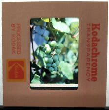 1970s green grapes for sale  Bozeman