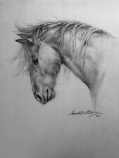 Original drawing horse for sale  Sandy