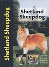 Shetland sheepdog charlotte for sale  UK