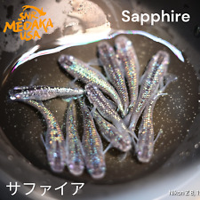 サファイア sapphire medak for sale  Holly Springs