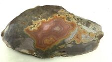 Montana dryhead agate for sale  Rives Junction