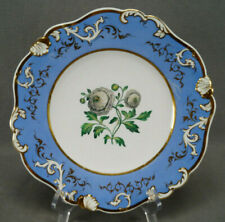 Rockingham Ranunculus Flower Blue & Gold Rococo Scrollwork 9 3/8 Inch Plate for sale  Shipping to Canada