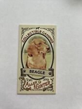 pocket beagle for sale  Waxhaw