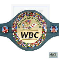 Wbc belt replica for sale  DERBY