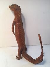 Antique vintage taxidermy for sale  West Palm Beach