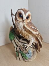 Teviotdale stunning owl for sale  NOTTINGHAM