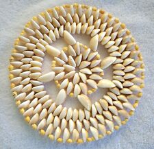 Trivet cowrie shells for sale  Sanford