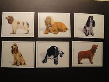 Imperial dog collection for sale  GRIMSBY