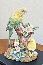baby parakeets for sale  Arvada