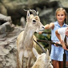 Leipzig zoo tage gebraucht kaufen  Hamburg