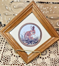 Vintage framed bunny for sale  Milliken