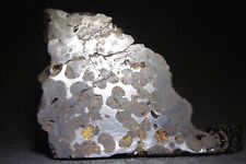 Sericho pallasite meteorite for sale  Rumson