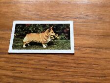 Horniman tea dogs for sale  NEWBURY